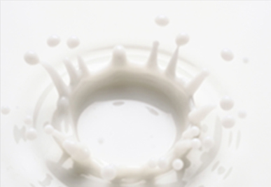 macchi